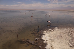 TSP 4x4 Epeditions