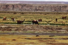 TSP 4x4 Epeditions