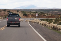 TSP 4x4 Epeditions