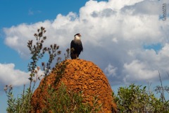 WhatsApp-Image-2021-06-07-at-21.34.17-1