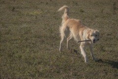 WhatsApp-Image-2021-06-07-at-21.37.08-1