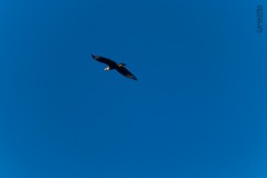 WhatsApp-Image-2021-06-07-at-21.37.09-1