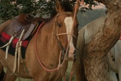 WhatsApp-Image-2021-06-07-at-21.38.35-2