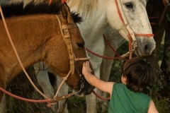 WhatsApp-Image-2021-06-07-at-21.38.35-3