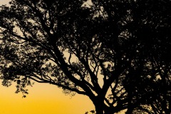 WhatsApp-Image-2021-06-07-at-21.38.35