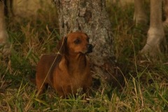 WhatsApp-Image-2021-06-07-at-21.38.36-1