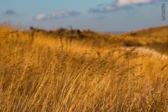 WhatsApp-Image-2021-06-07-at-21.38.36