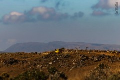 WhatsApp-Image-2021-06-07-at-21.39.58