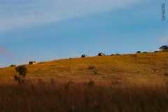 WhatsApp-Image-2021-06-07-at-21.39.59-1